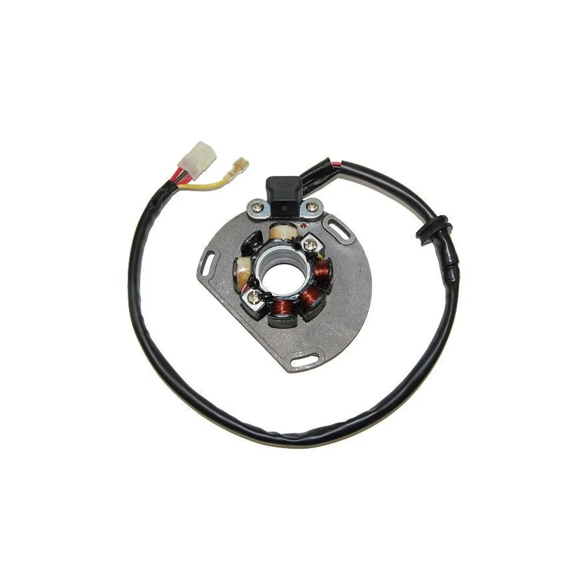 Stator + Bobine d'éclairage ELECTROSPORT KTM